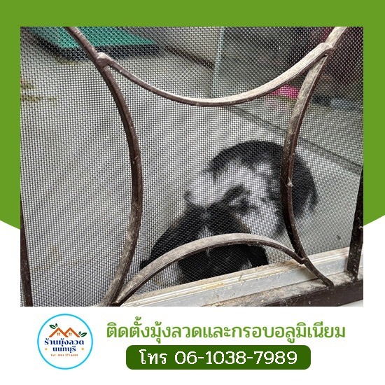 ช่างติดตั้งมุ้งสแตนเลส แข็งแรง ทนทาน